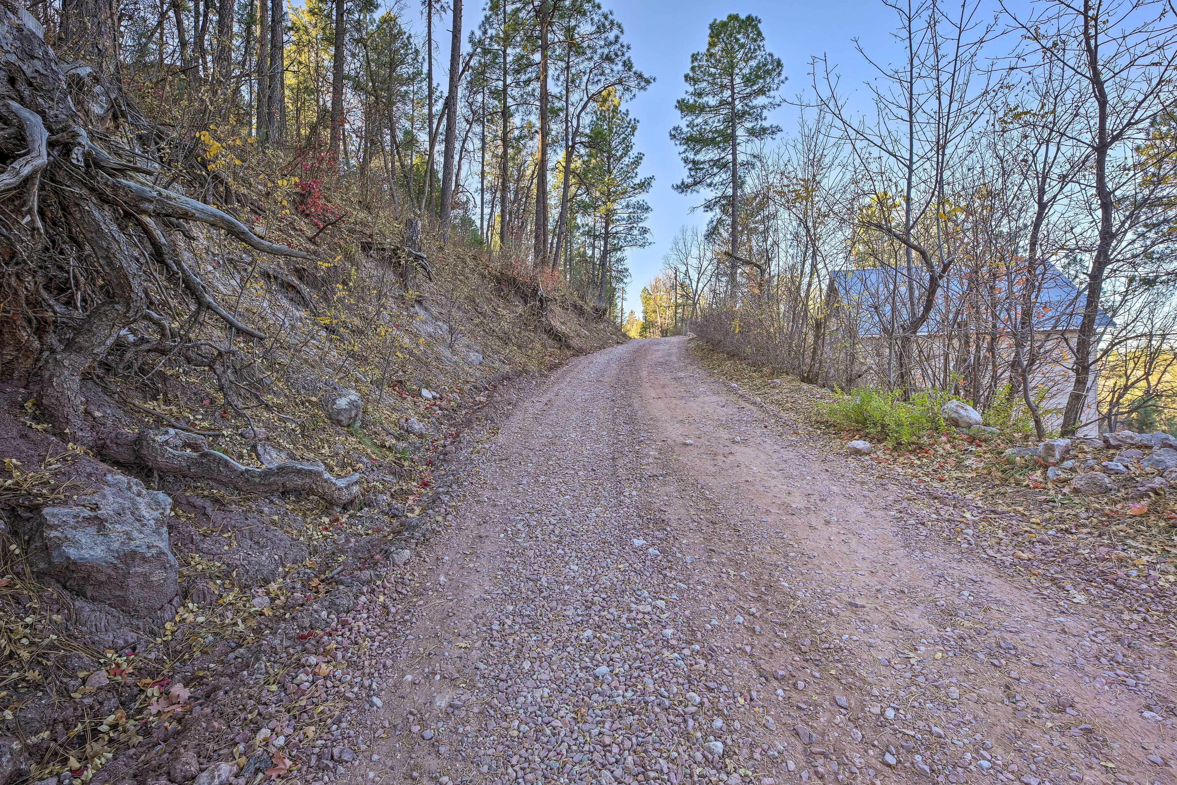A gravel road flanked by trees and rocks, leading towards a building with a blue roof.