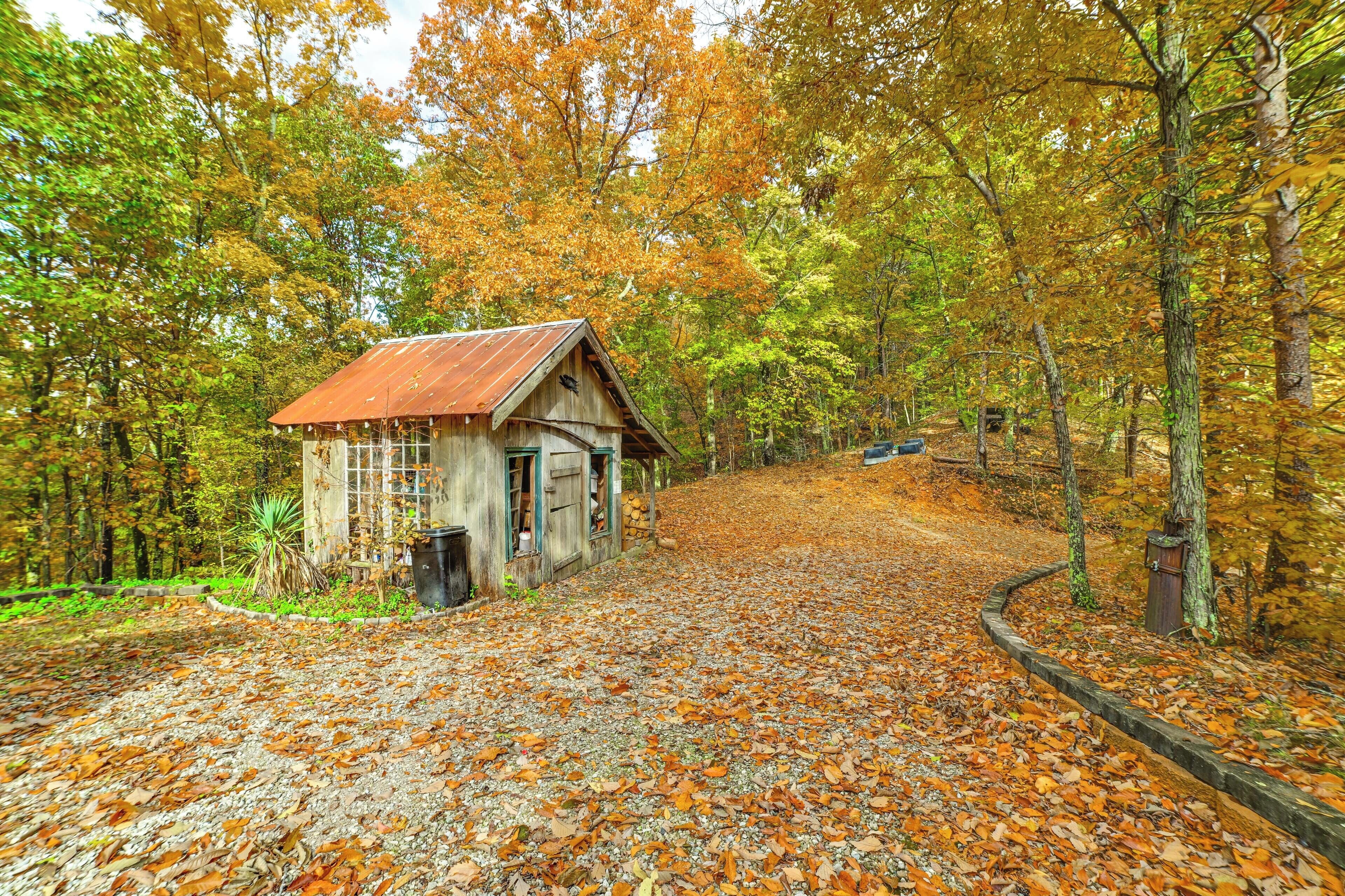 A rustic cabin surrounded by autumn foliage, with a gravel path leading to it.