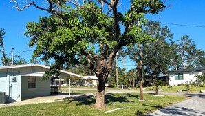 A residential area with a large tree in the foreground, a house with a covered porch, and a clear blue sky. - 1 Mi to Beach: Nokomis Home w/ Private Pool (Nokomis)