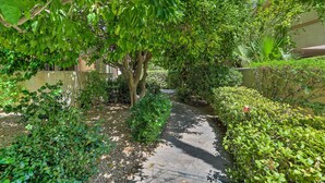 A narrow pathway flanked by lush greenery and a water feature. - Palm Springs Hideaway w/ Resort Amenities! (Palm Springs)