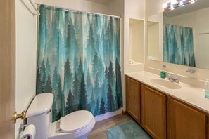 A bathroom with a toilet, sink, and mirror. - 'the Overlook' in Massanuttens All Season Resort (McGaheysville)