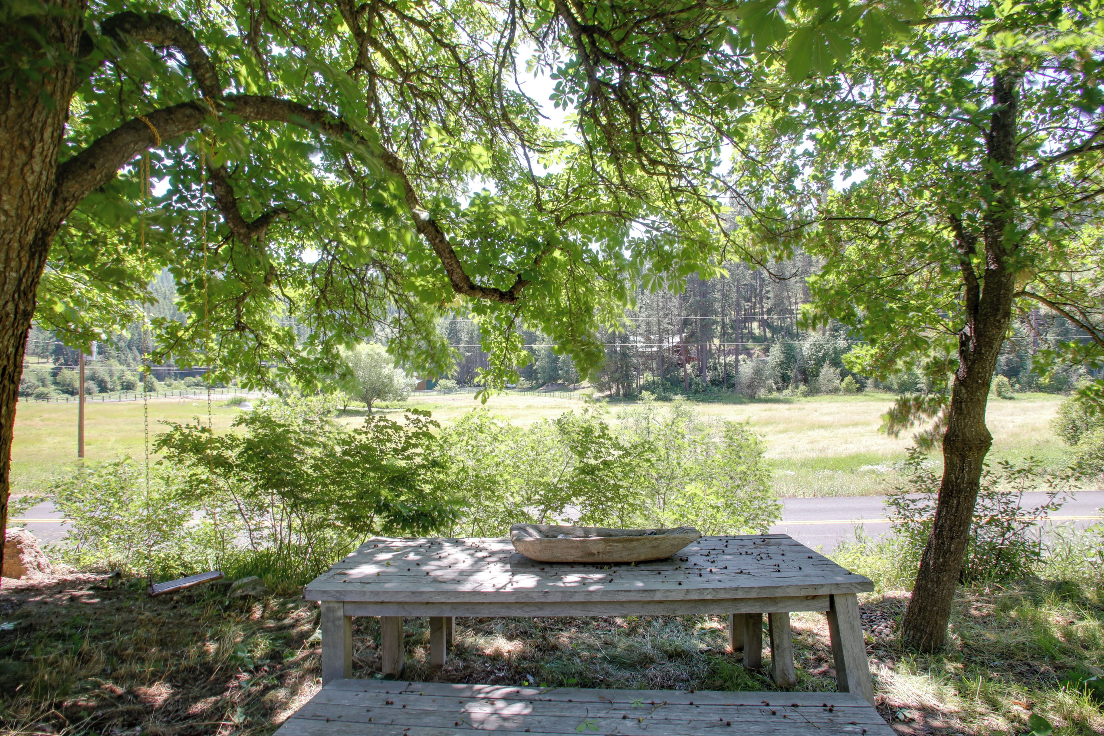 A wooden picnic table with a bowl on it, surrounded by trees and a grassy field.