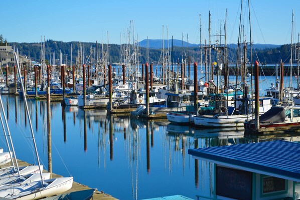 Marina