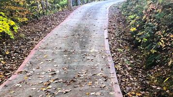 Apartment (0 Bedroom) | Interior