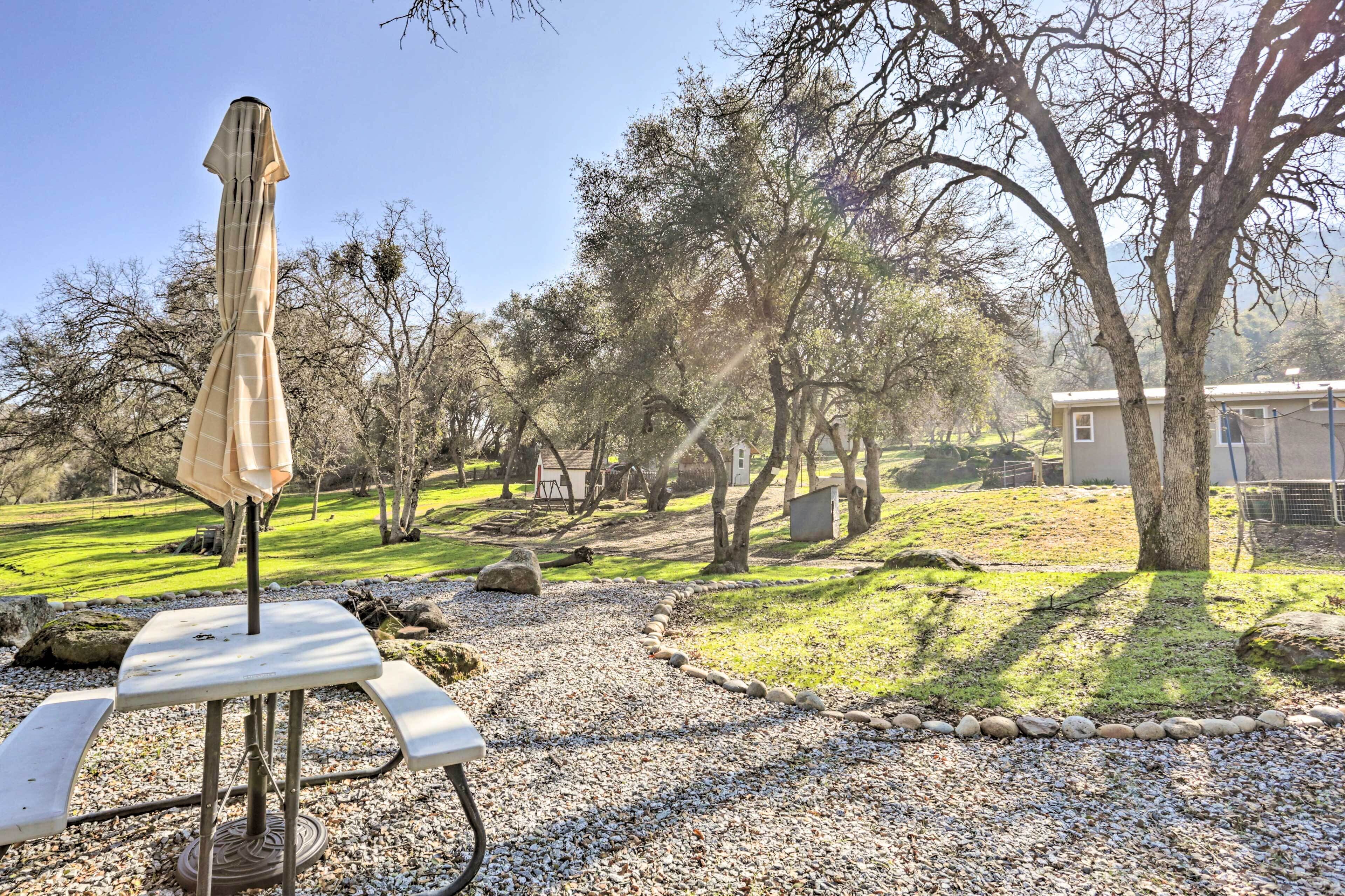 A patio area with a table and an umbrella, surrounded by a gravel path and trees.