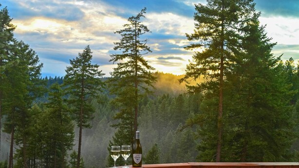 Eine Holzterrasse mit einer Weinflasche und zwei Gläsern, mit Blick auf eine bewaldete Landschaft mit hohen Bäumen und einem bewölkten Himmel.