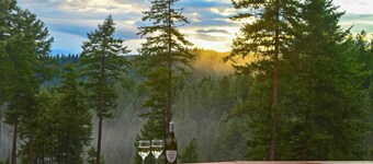 Unique 40 Acre Nature Retreat w/ Trails & Views!