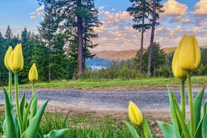 Talo (3 Bedrooms) | Sisätilat