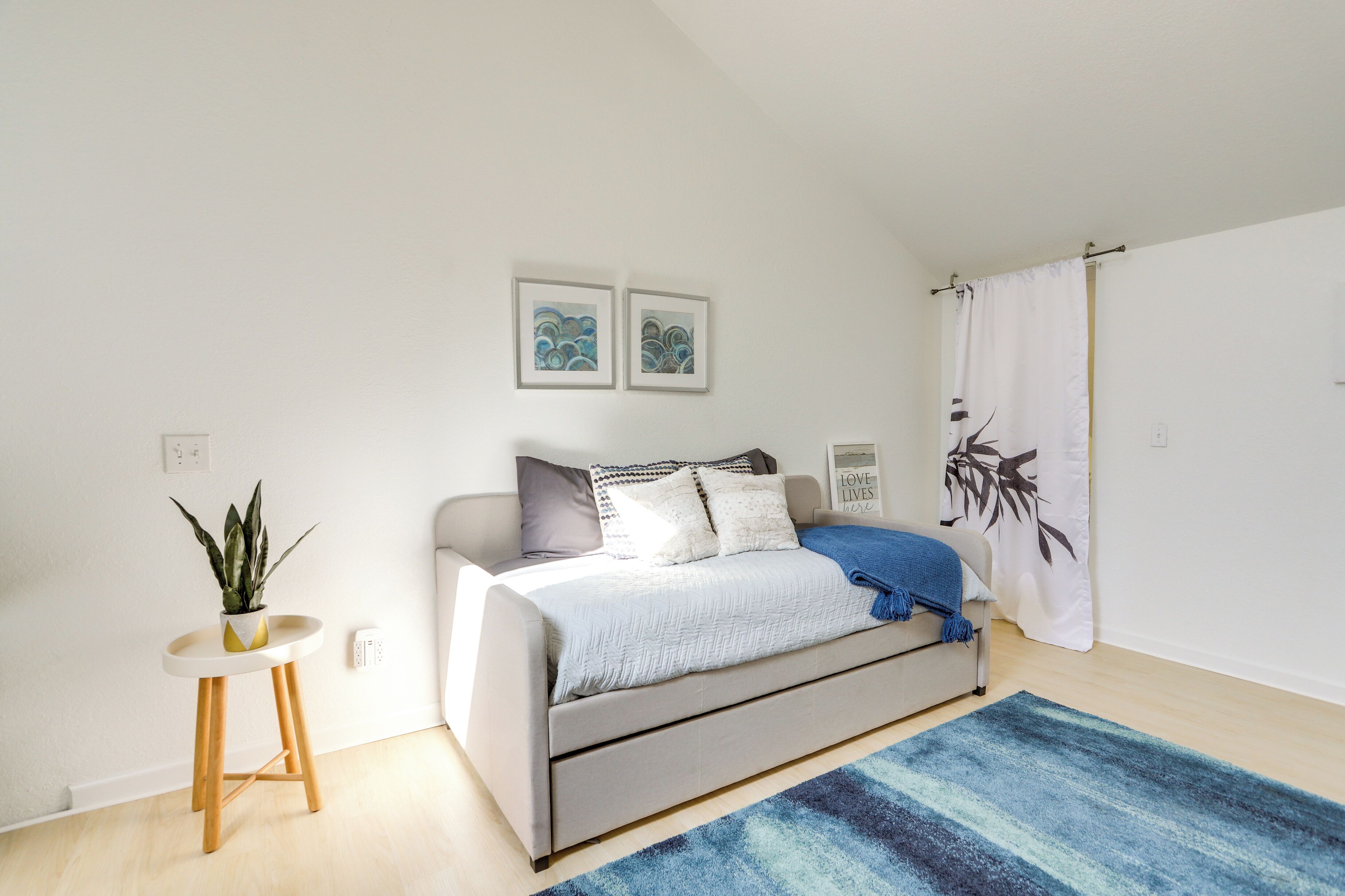 Un dormitorio moderno con una cama, una mesita de noche con una planta y una alfombra azul.