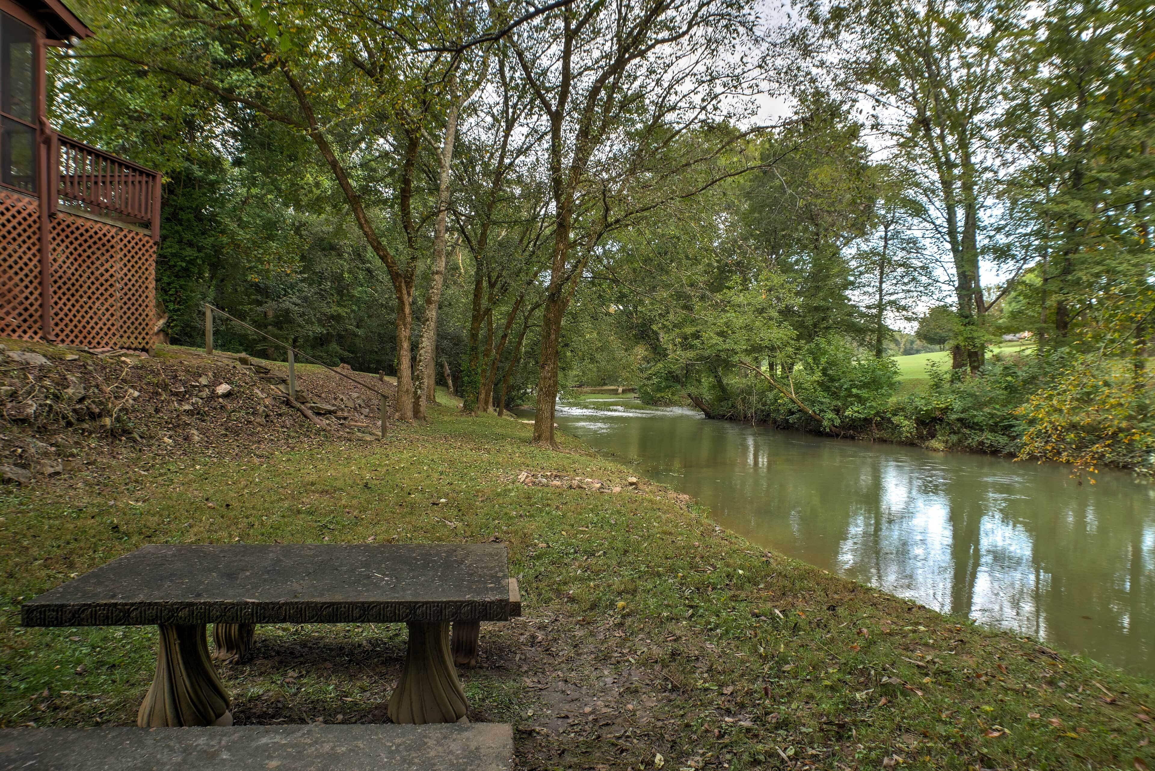 Una panchina lungo il fiume con vista su un corso d'acqua tranquillo e alberi.