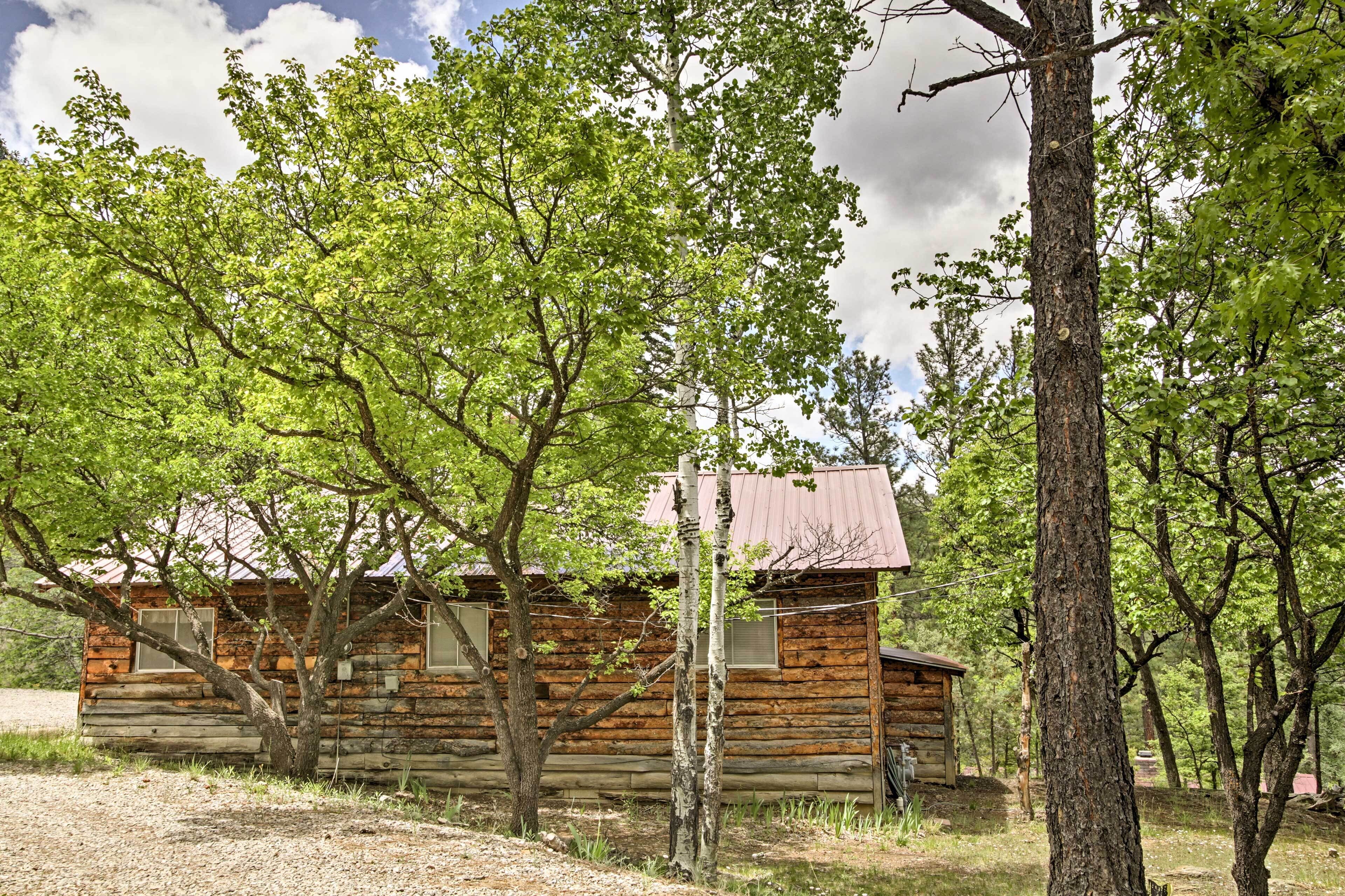A rustic log cabin surrounded by trees.