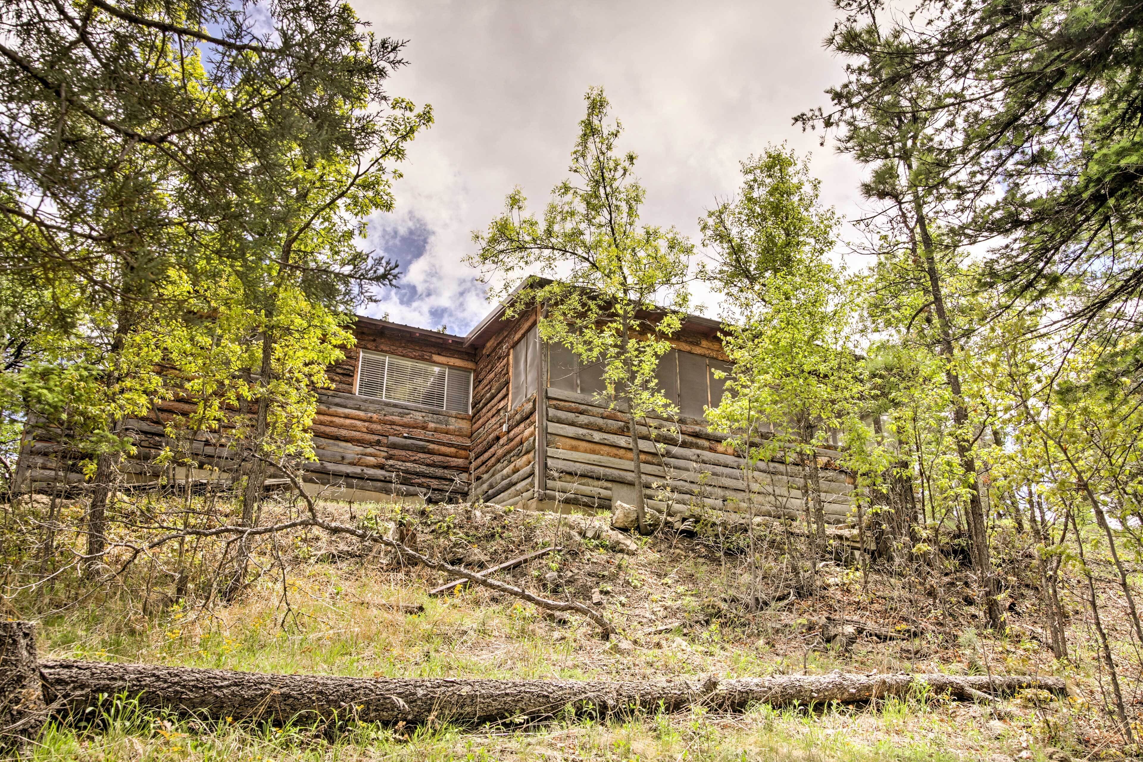 A rustic log cabin surrounded by trees and overgrown vegetation.