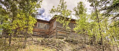 A rustic log cabin surrounded by trees and overgrown vegetation.