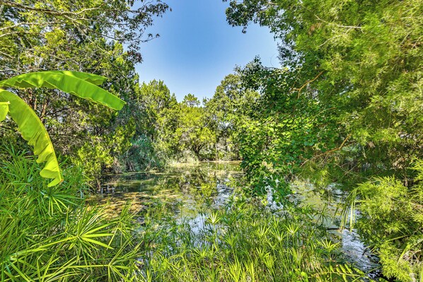 A natural landscape with a pond surrounded by dense greenery and trees.