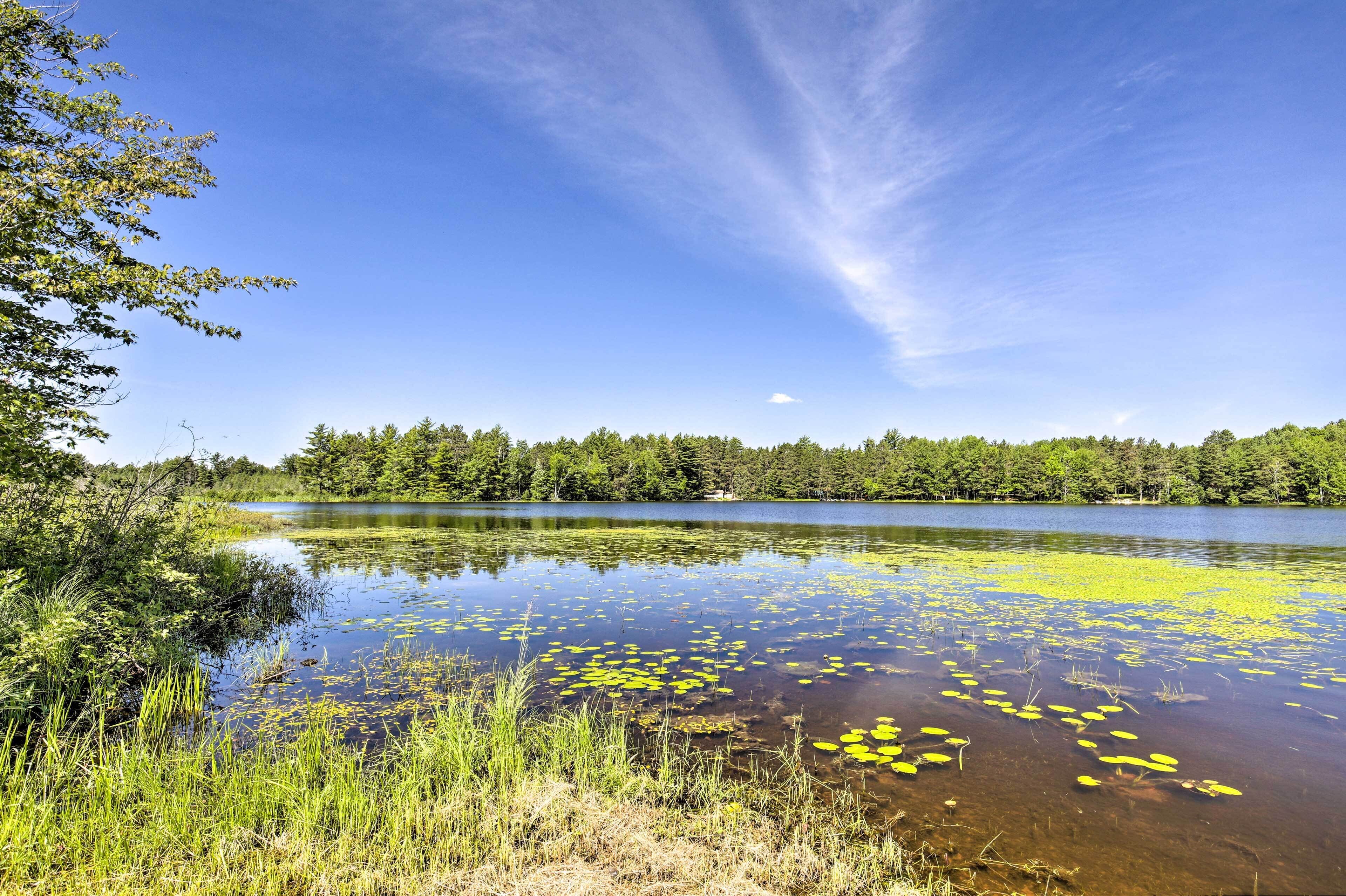 A natural landscape with a lake, surrounded by dense trees and clear skies.