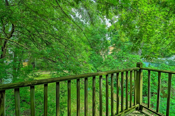 Una terraza de madera con vistas a un bosque verde exuberante.