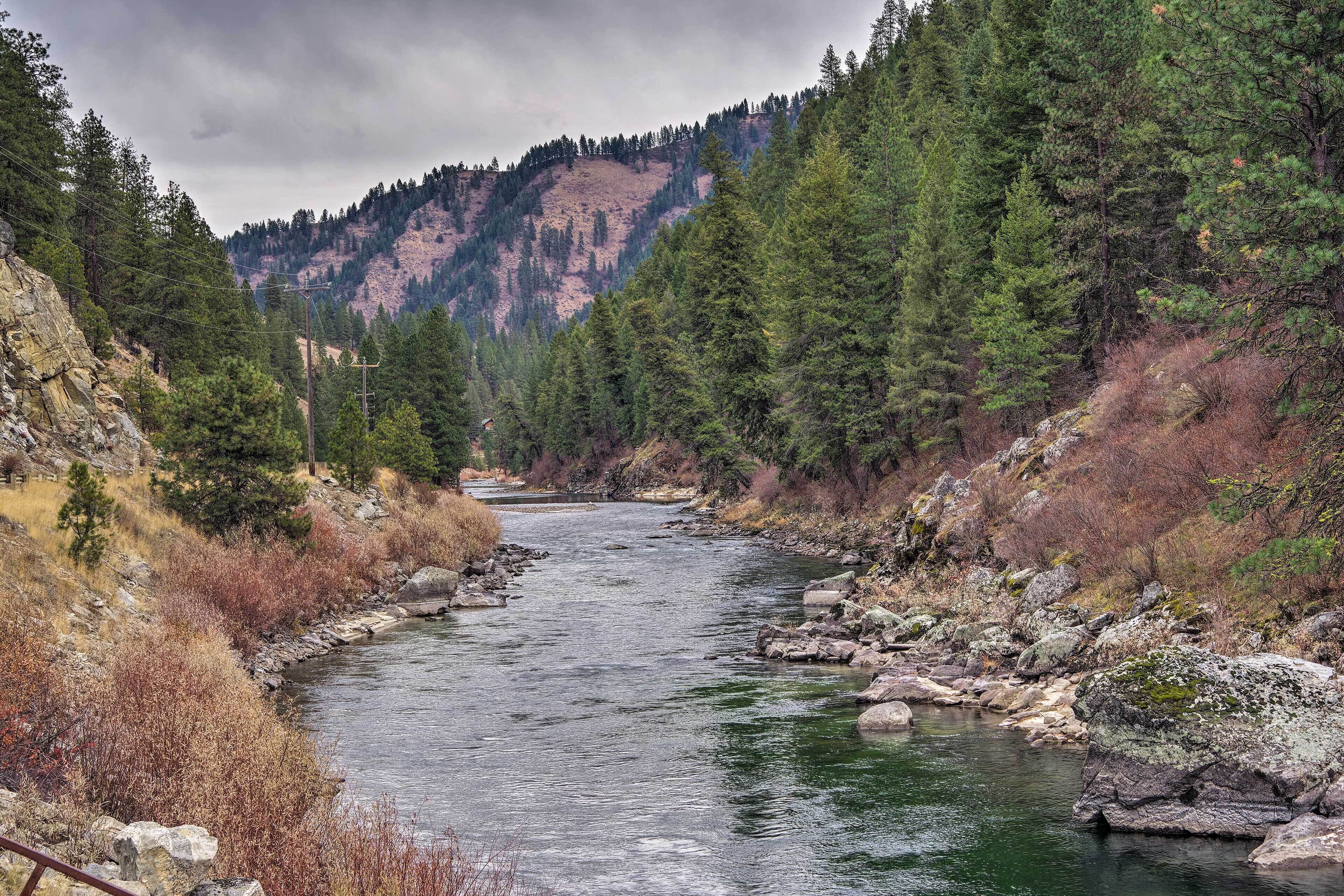 A river flowing through a forested valley with rocky banks and a mountain in the background.