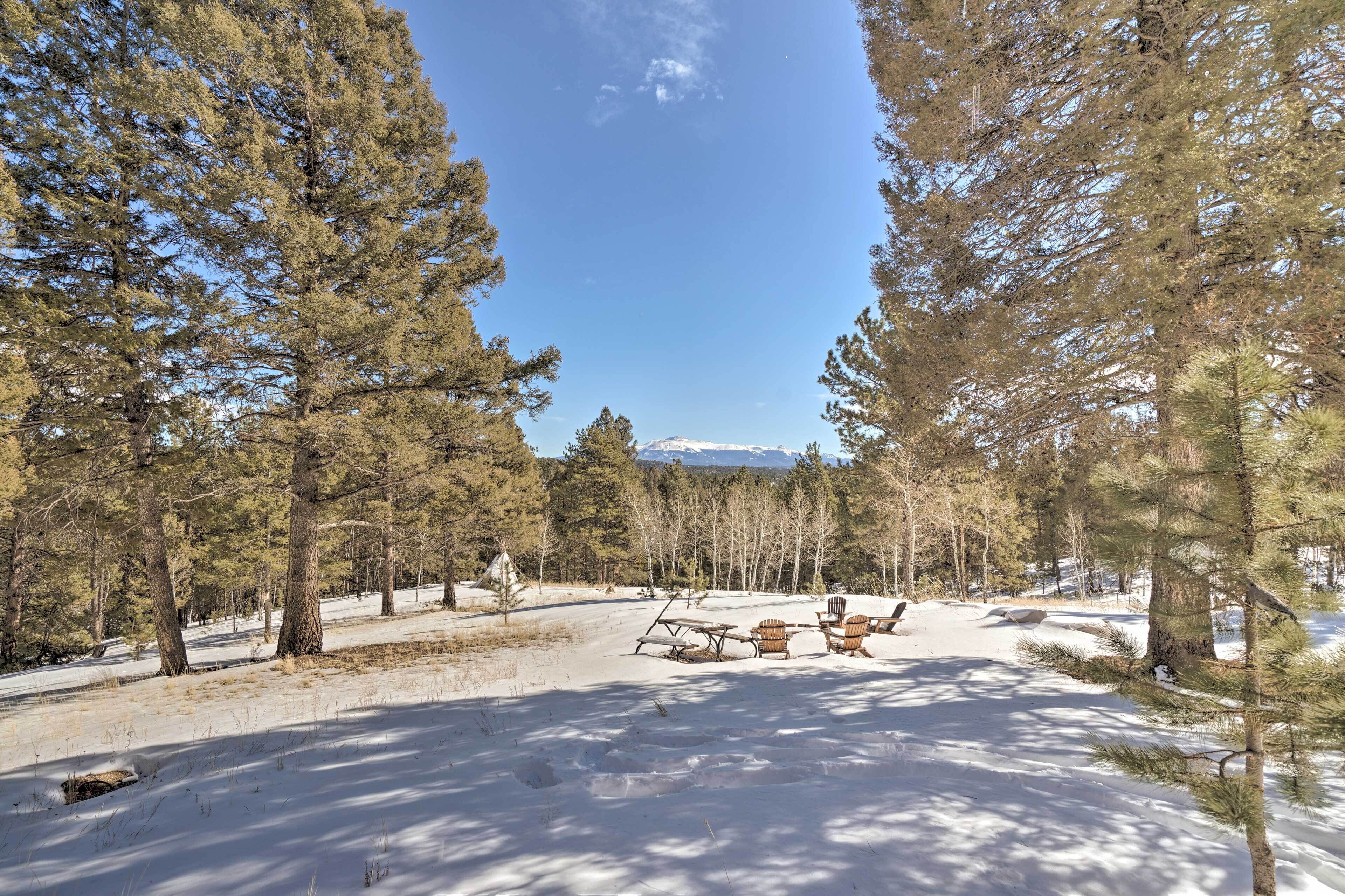 Un espace extérieur enneigé, avec un banc et des chaises, entouré de grands arbres et avec une montagne en arrière-plan.