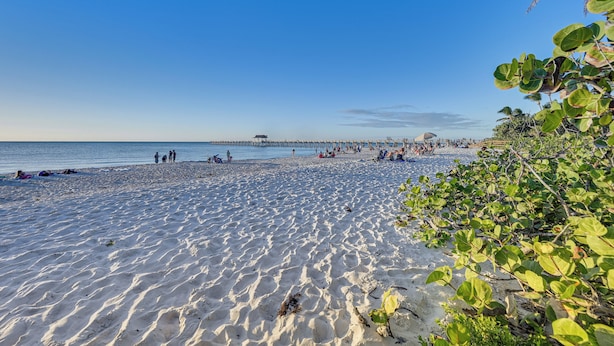 A sandy beach with a pier in the distance, palm trees, and people enjoying the area. - Sleek Coastal Abode: 1 Block to Naples Beach! (Naples)