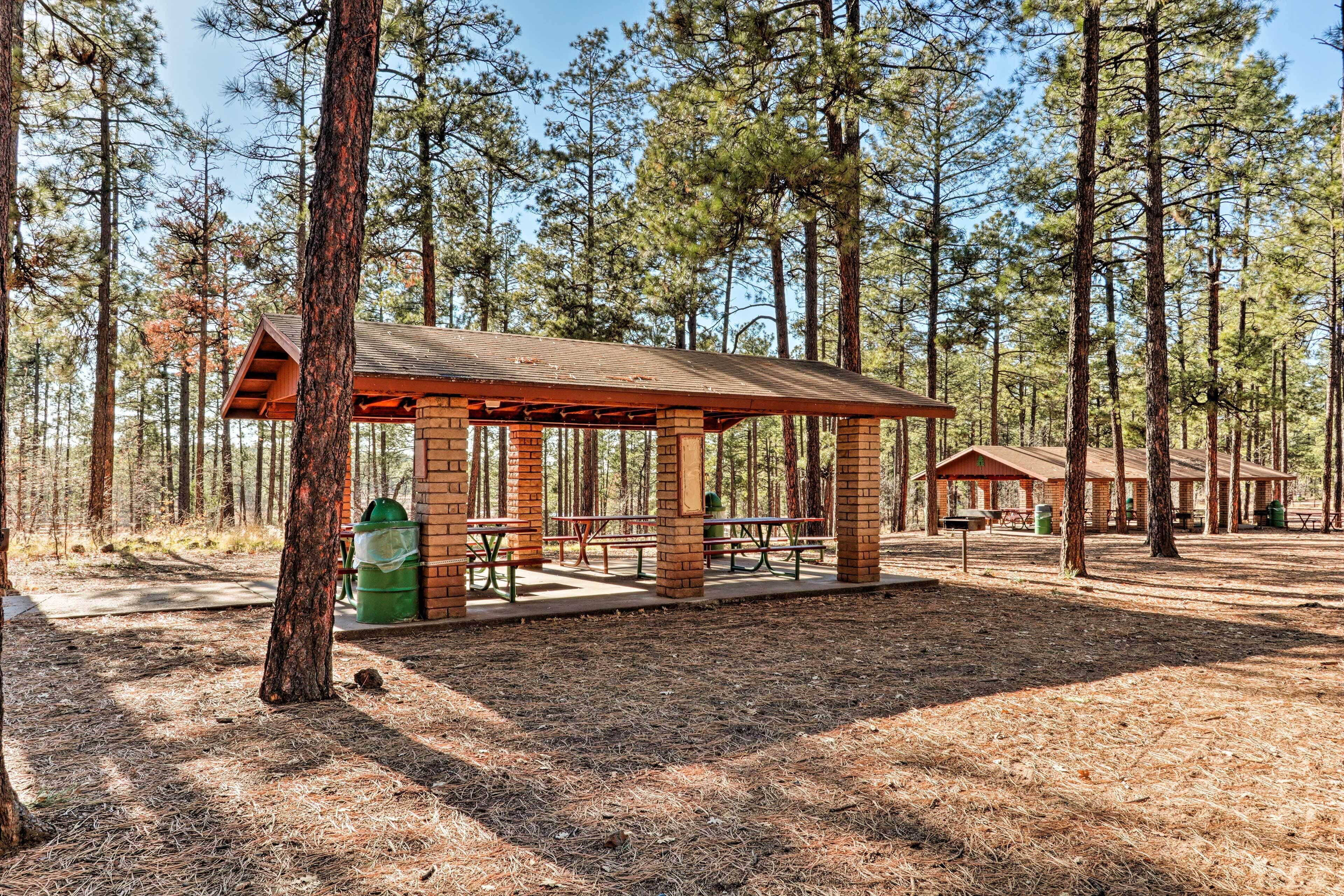Un pavillon en bois, doté de tables et de bancs pour pique-niquer, entouré de grands pins.