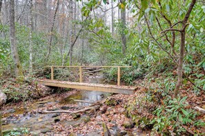 Interior - Creekside Family Retreat by Waterfalls & Hiking! (Sapphire)