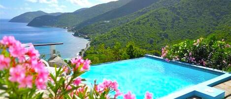 Villa (3 Bedrooms) | Fasade