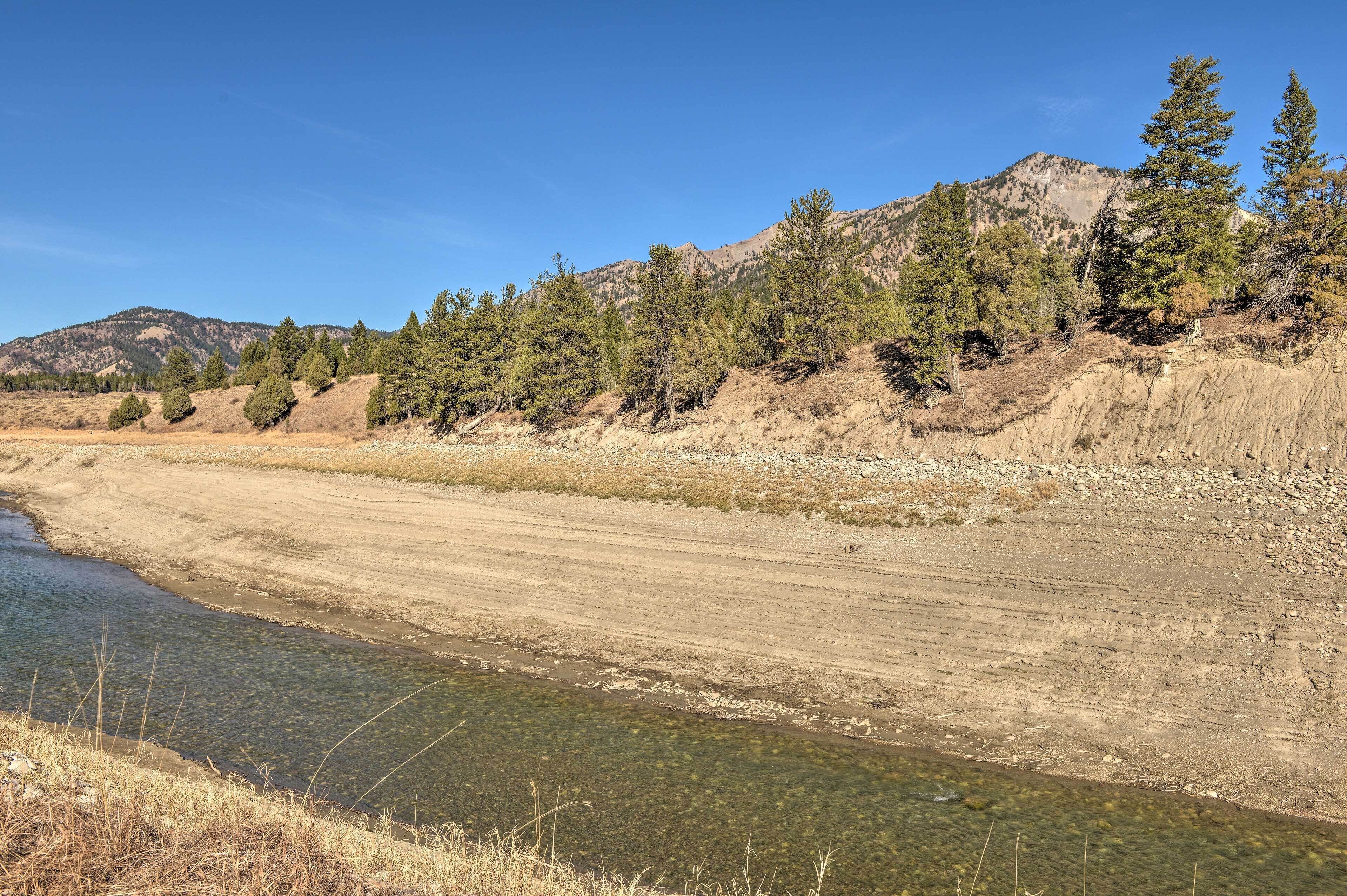 A riverbank with a clear water path, surrounded by dry grass and sparse trees.