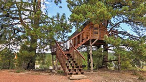 Eine Holztreppe führt zu einem Baumhaus, das in eine Kiefer integriert ist.