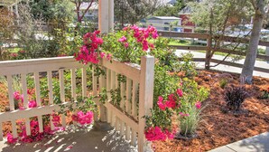 A wooden bench with pink flowers and plants in a landscaped area with mulch and a wooden fence in the background. - Serene Bungalow-style Home in Point Reyes Station! (Point Reyes Station)