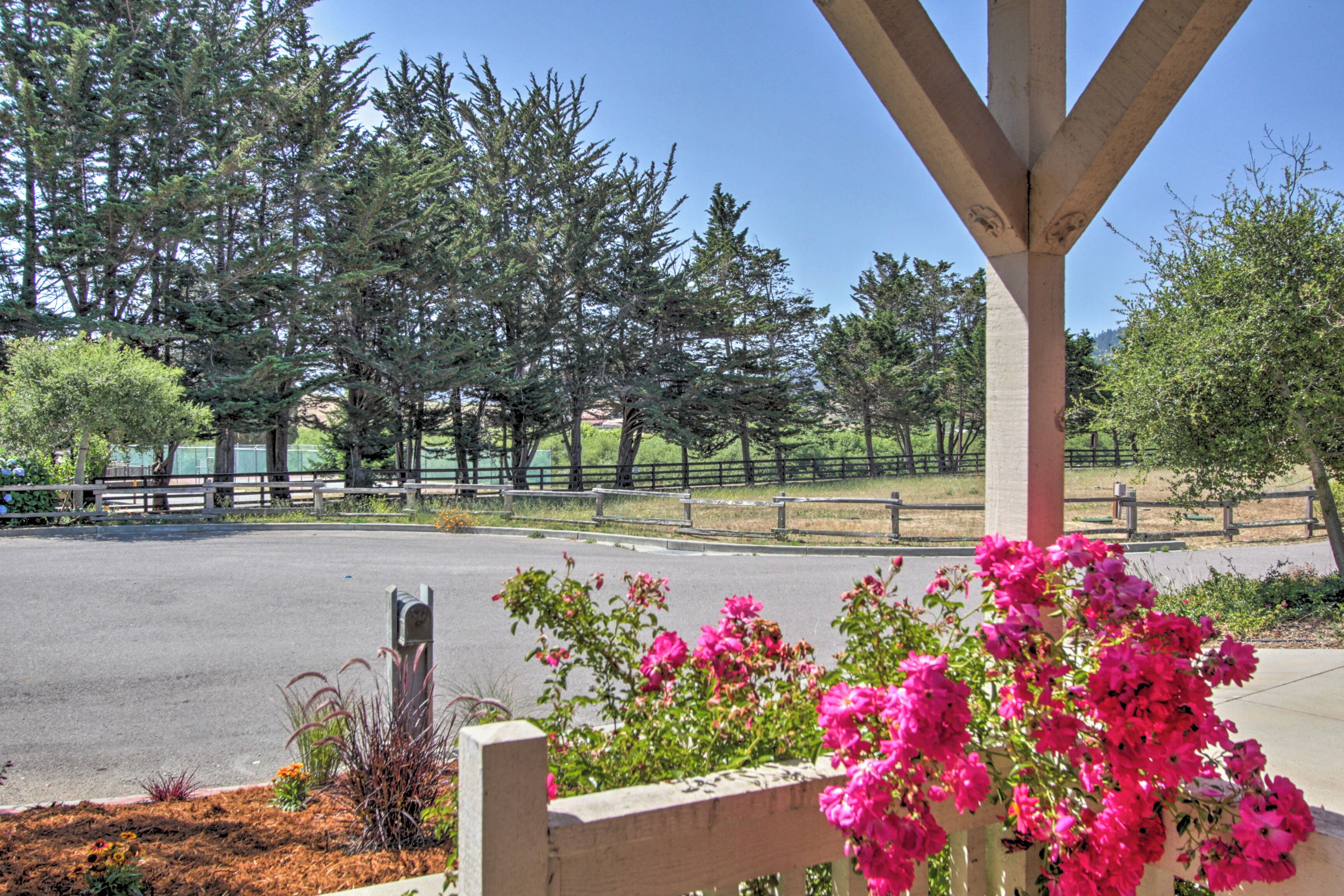 A paved road with a wooden fence and trees in the background.