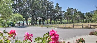 Serene Bungalow-style Home in Point Reyes Station!