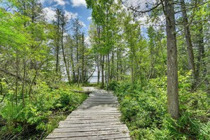 A wooden boardwalk through a dense forest with tall trees and a lake in the background.