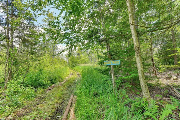 A forested area with a signpost indicating a trail.