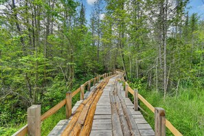 A wooden boardwalk through a forest.