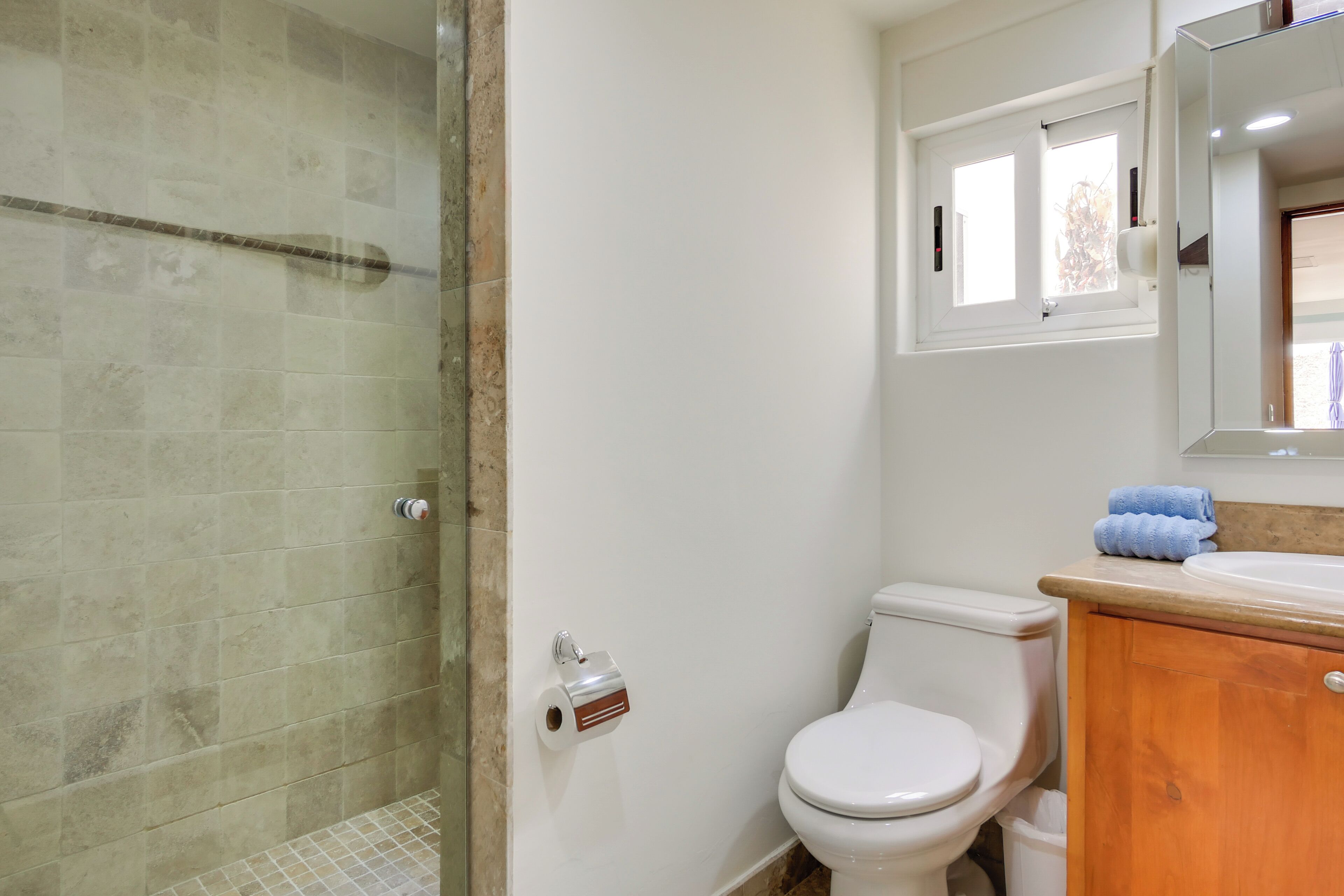 A bathroom with a glass shower enclosure, a toilet, and a wooden vanity with a mirror.