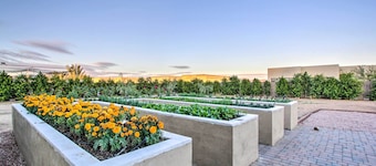 Desert Views, Fire Pit: Serene Phoenix Getaway