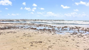 Une plage avec une jetée qui s’avance dans l’eau, un rivage sablonneux et des algues dispersées.