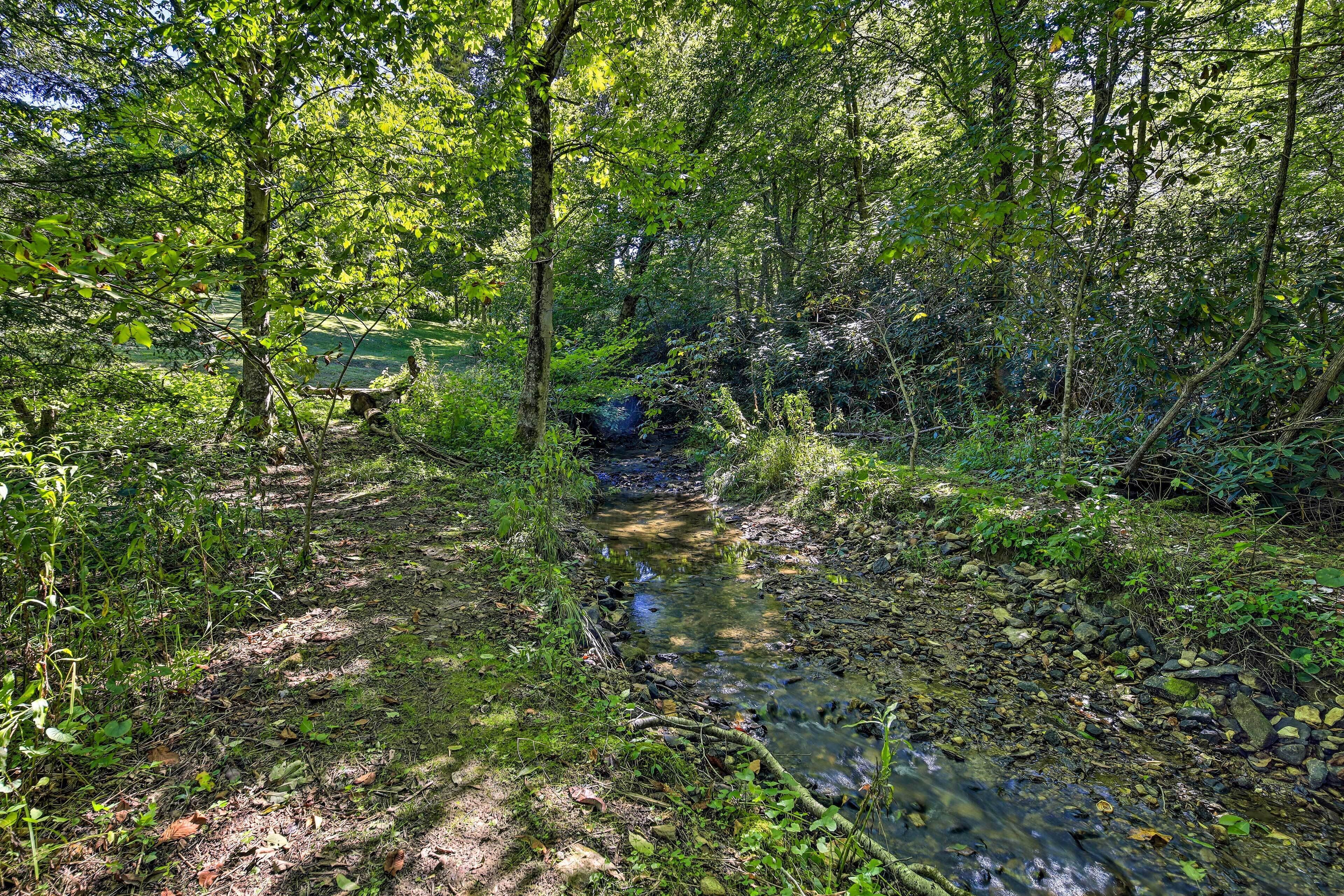 A natural stream surrounded by dense greenery and trees.