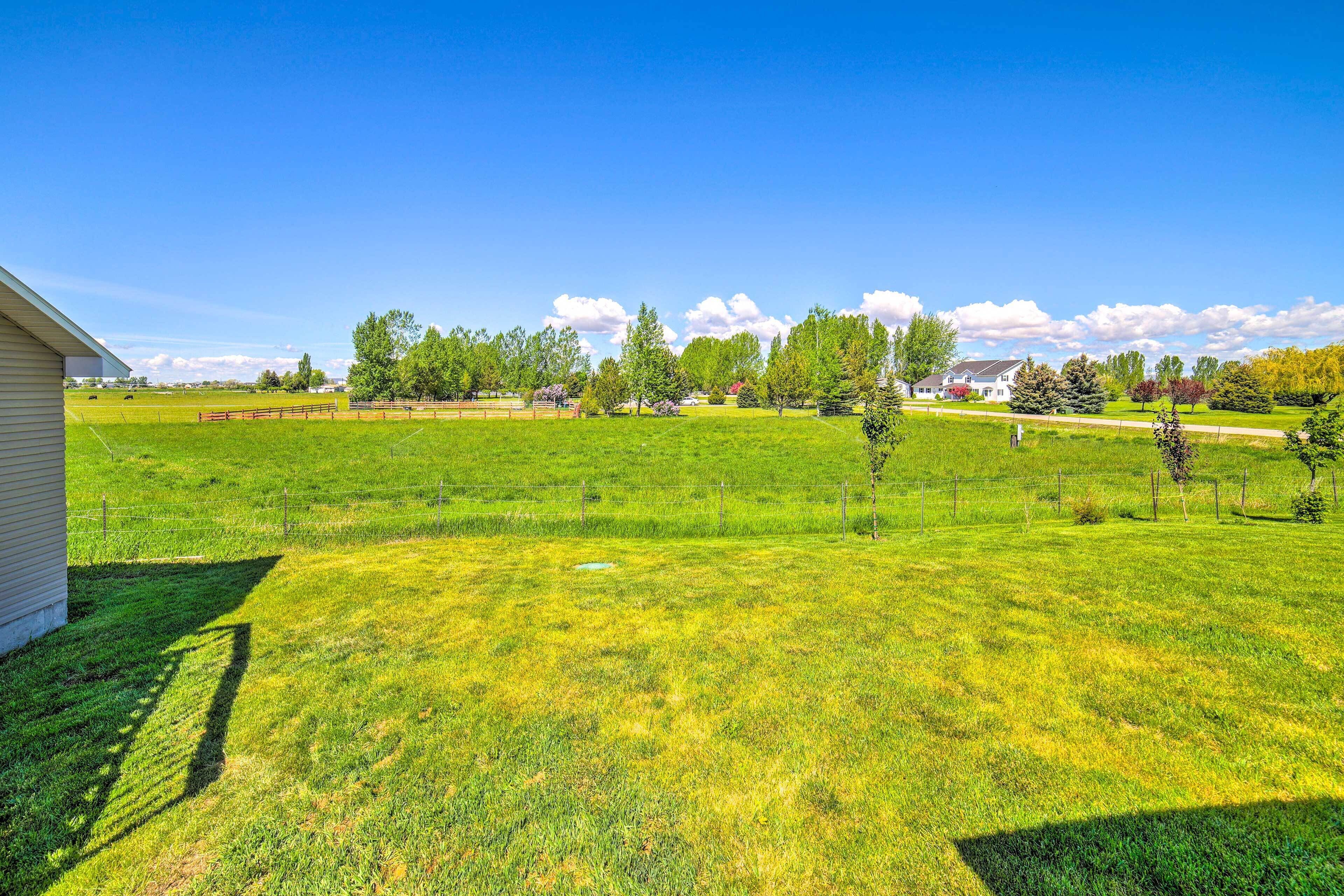 Apartment (1 Bedroom) | Interior