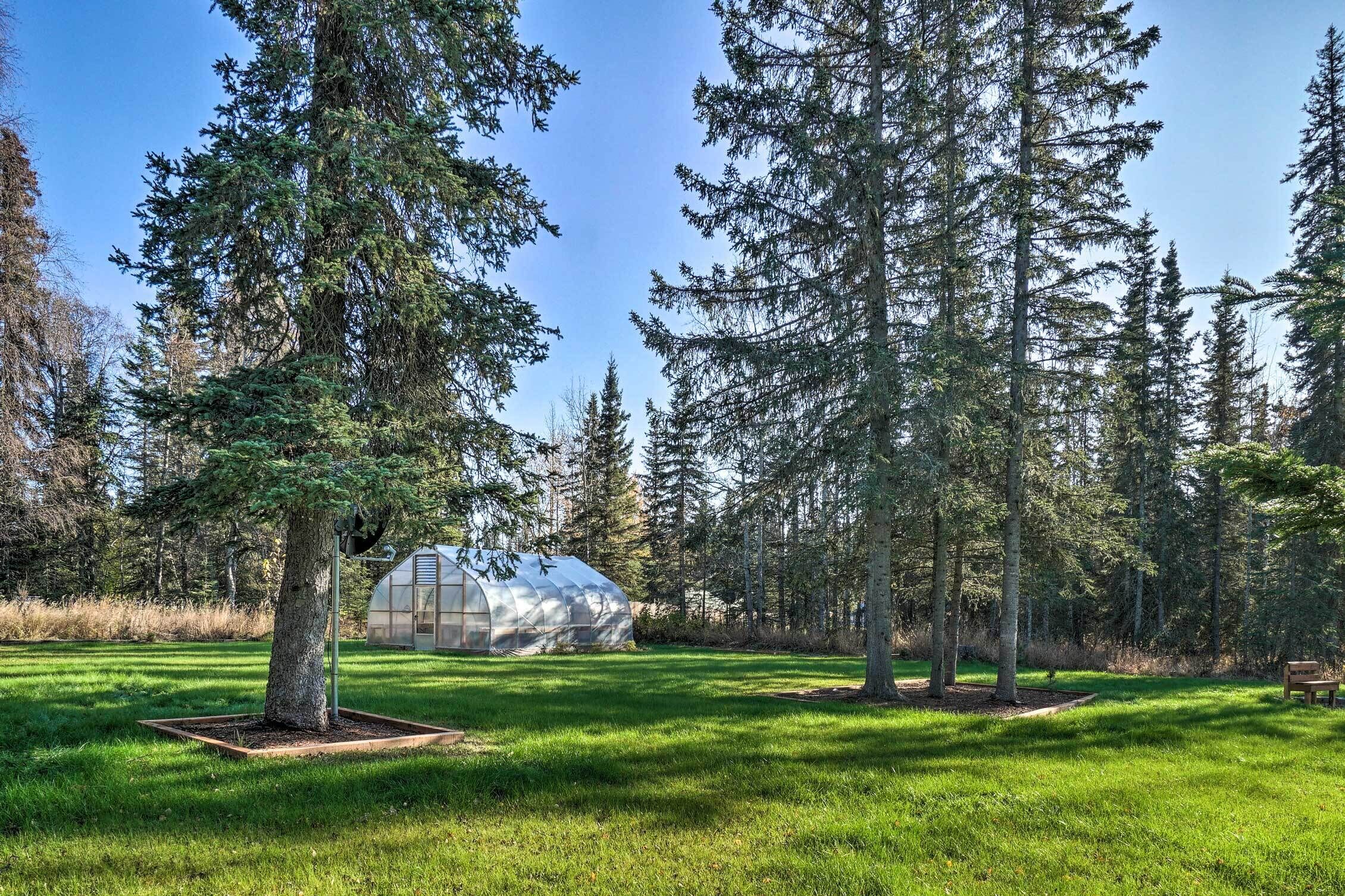 A greenhouse surrounded by tall trees in a grassy field.