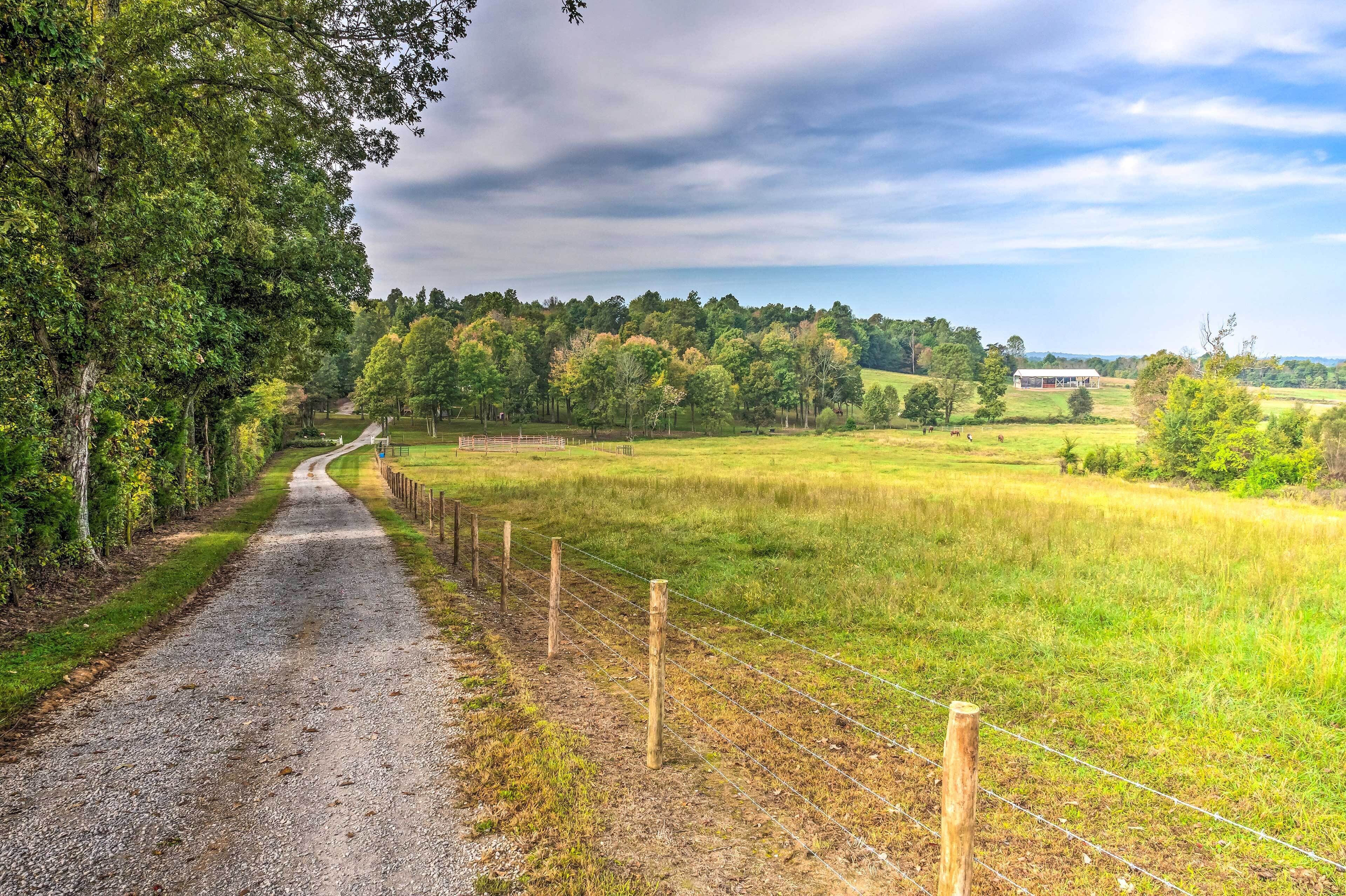 A gravel path flanked by a wooden fence and trees, leading to a rural landscape with fields and a distant building.