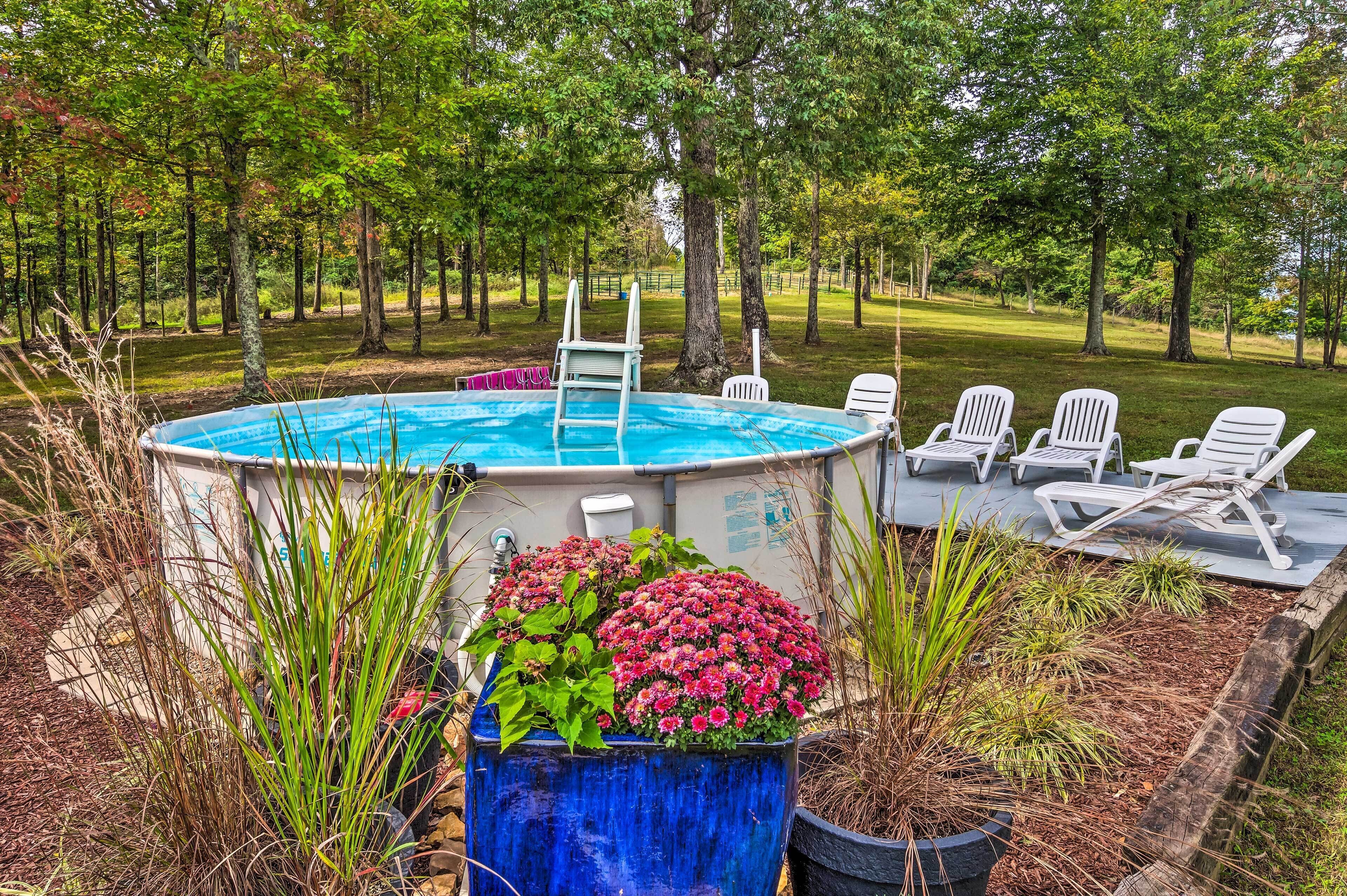 Appartement (2 Bedrooms) | Intérieur