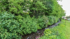 Un ruisseau traverse une zone verdoyante et luxuriante, bordée d’une végétation dense d’un côté et d’un bâtiment doté d’un porche visible de l’autre.