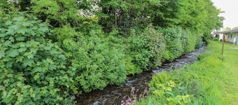 11 Tremore