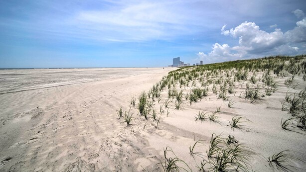 Une plage avec des dunes de sable et une végétation clairsemée.