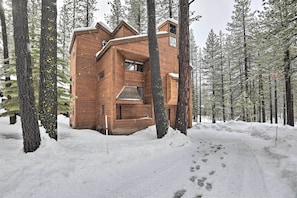 A wooden cabin surrounded by tall pine trees in a snowy forest.