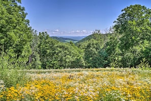 A natural landscape with dense greenery and a meadow of yellow and white flowers. - La Crescent Cottage on Minnesota Bluffs w/ View! (Dakota)