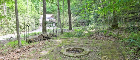 A forested area with a stone fire pit surrounded by moss and fallen leaves.