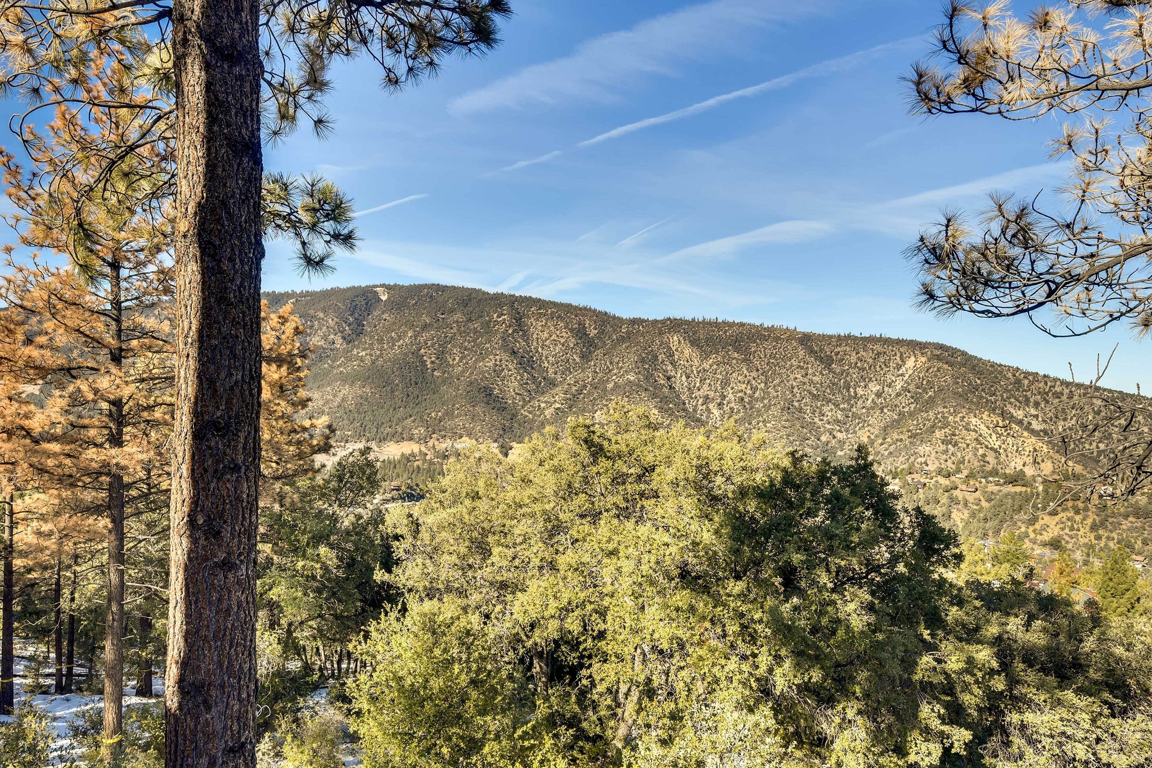 A mountainous landscape with dense forest and a clear sky.