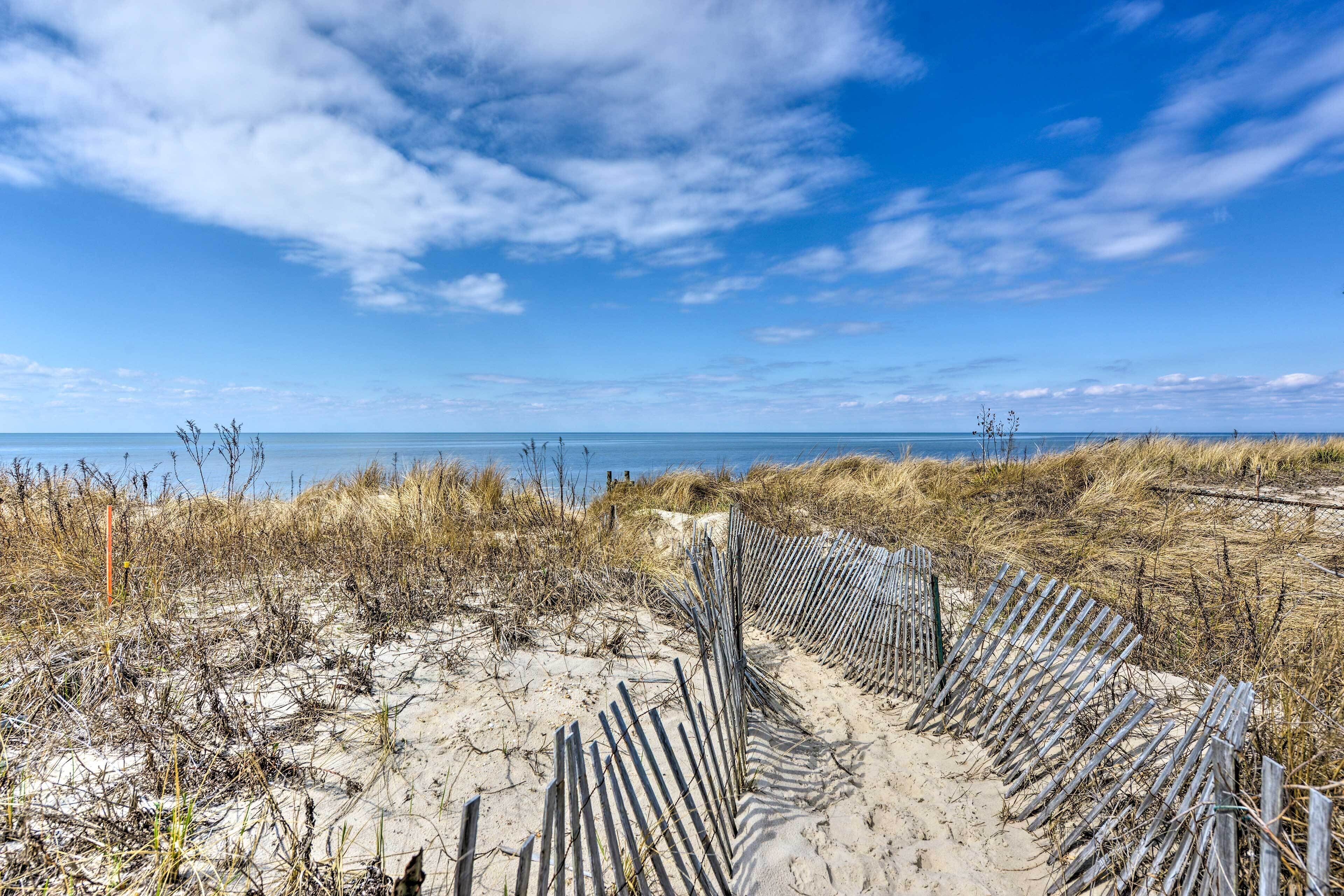 A sandy beach with a wooden fence and sparse vegetation.